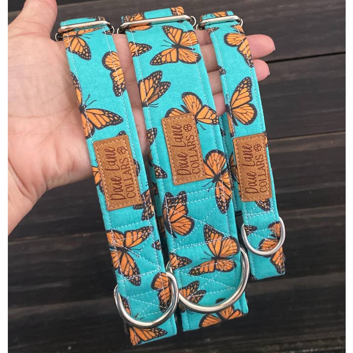 Dixie Lane Collars - Wholesale Pet Collar - Dog - Teal and Orange Butterlies Dog Collar, Dixie Lane Collars5