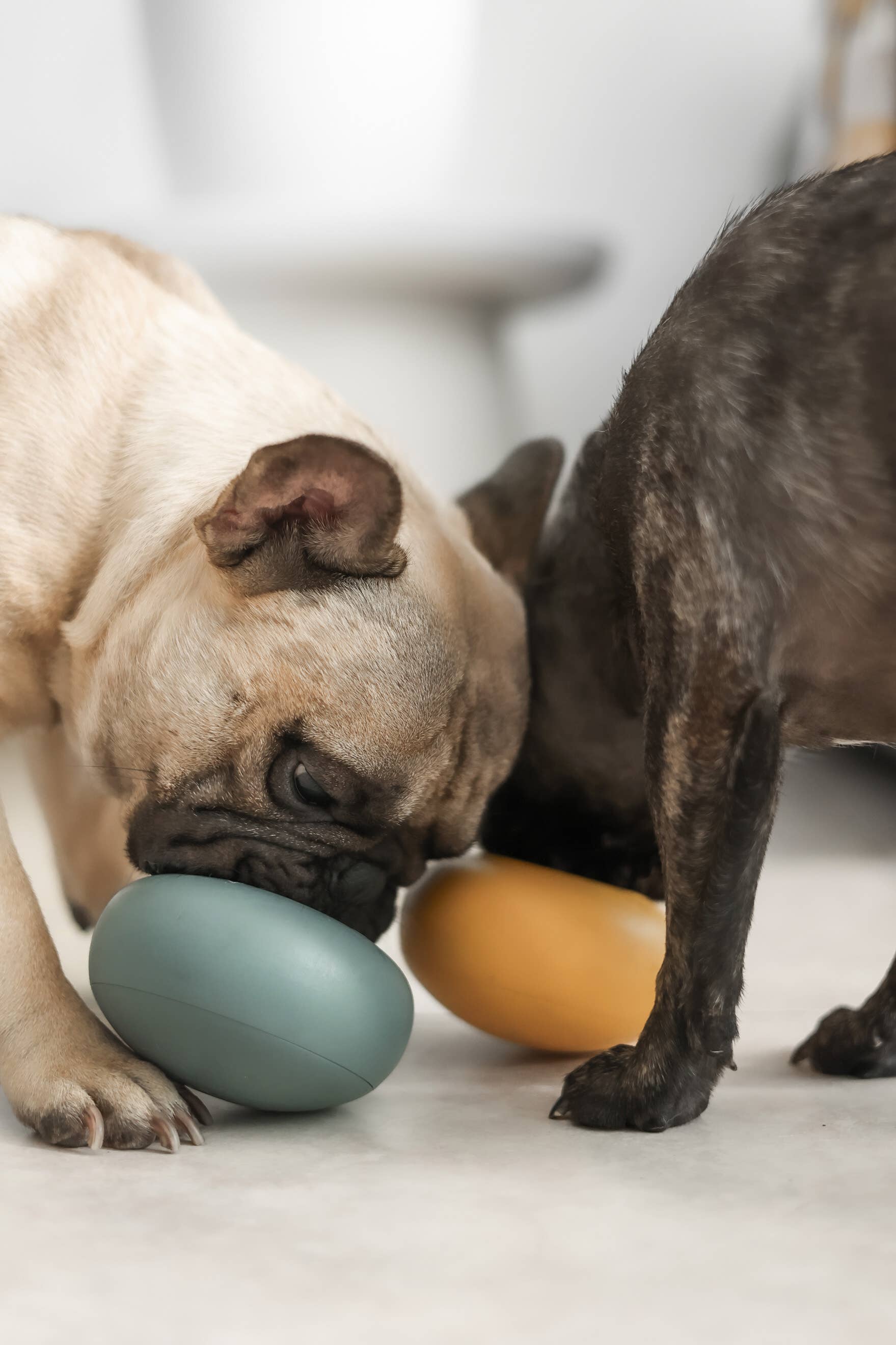 Lunoji - Wholesale Pet Toy - Dog - Pebble: All-in-One Dog Toy | Slow Feeder + Treat Dispenser9