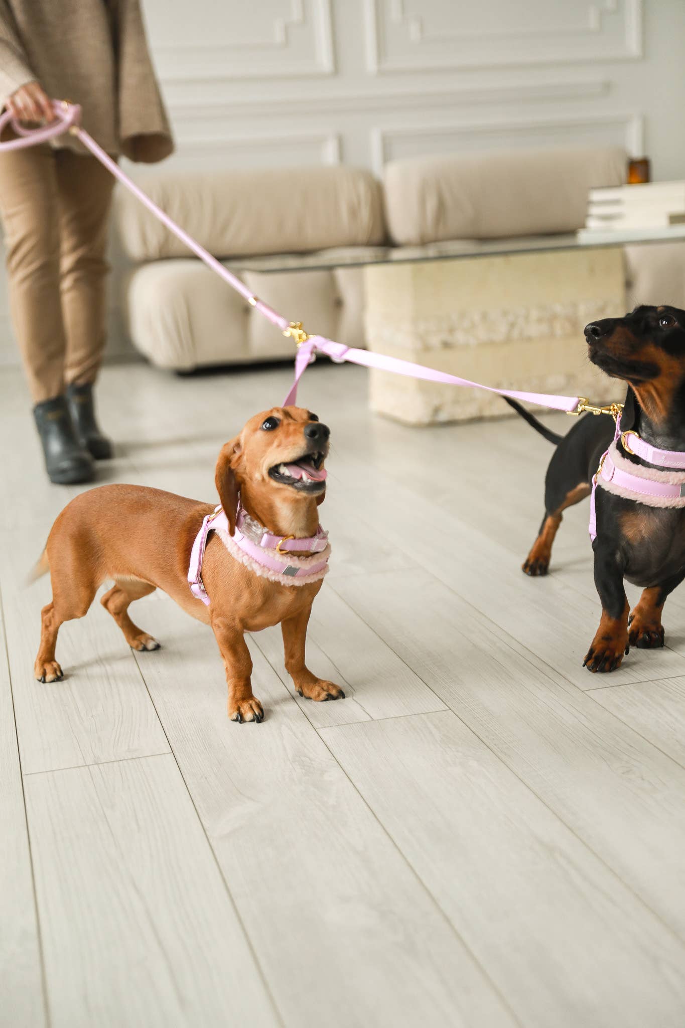 Cavology - Wholesale Pet Leash - Dog - DOG LEASH COUPLER SPLITTER MULTI DOG ATTACHMENT PASTEL COLOR6