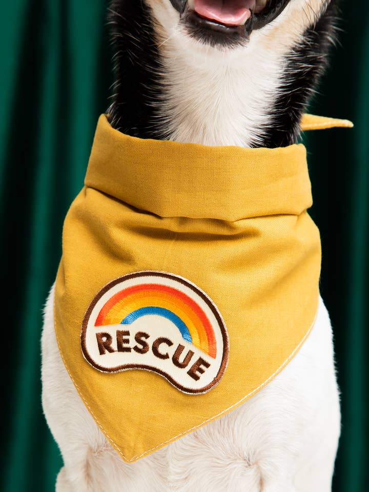 Rescue iron-on patch for dogs and cats for wholesale by Scout's Honour Pty Ltd