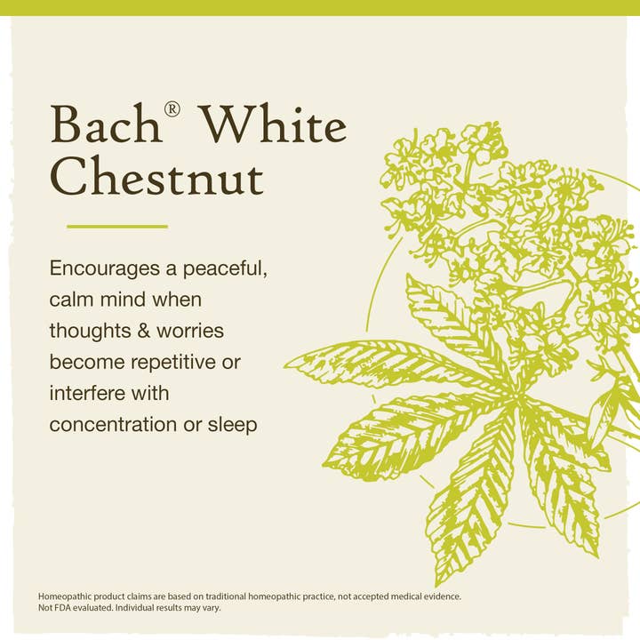 RESCUE & Bach Original Flower Remedies - Wholesale Oral Supplement/Vitamin - Bach Original Flower Remedies White Chestnut 0.7 fl. oz.2