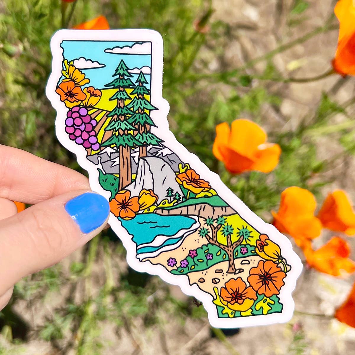 Brenna Daugherty Illustration - Wholesale Sticker - California State Landmarks Sticker3