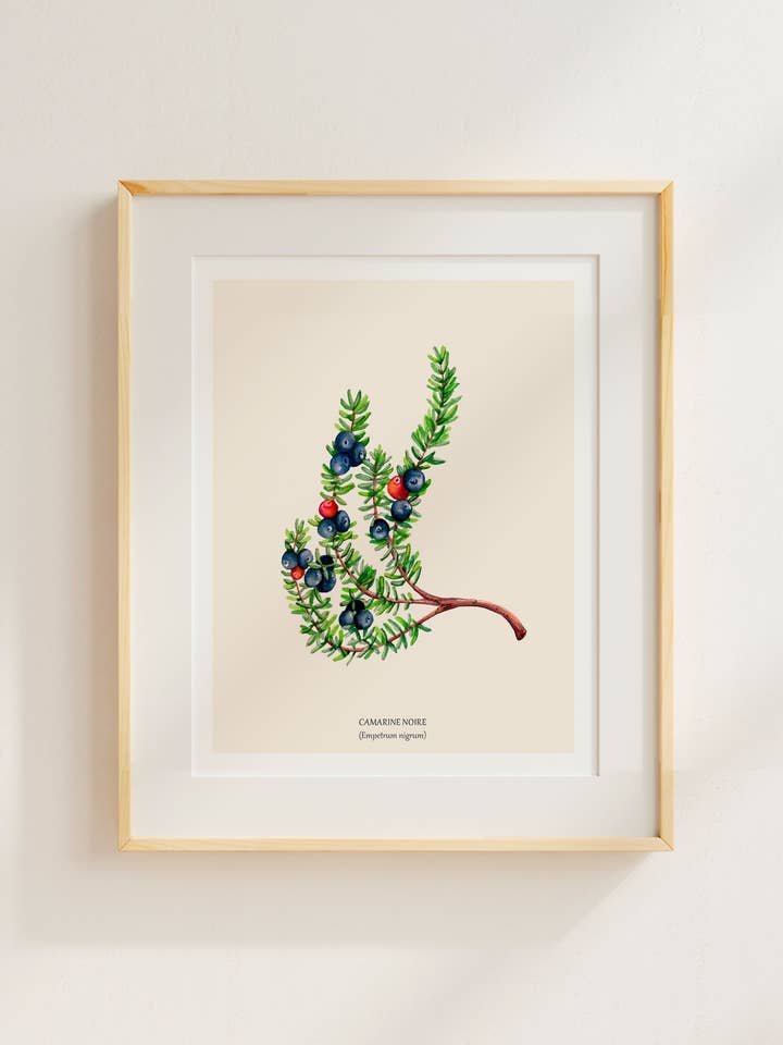 Black crowberry for wholesale by Sarah Choquette Scott Artiste