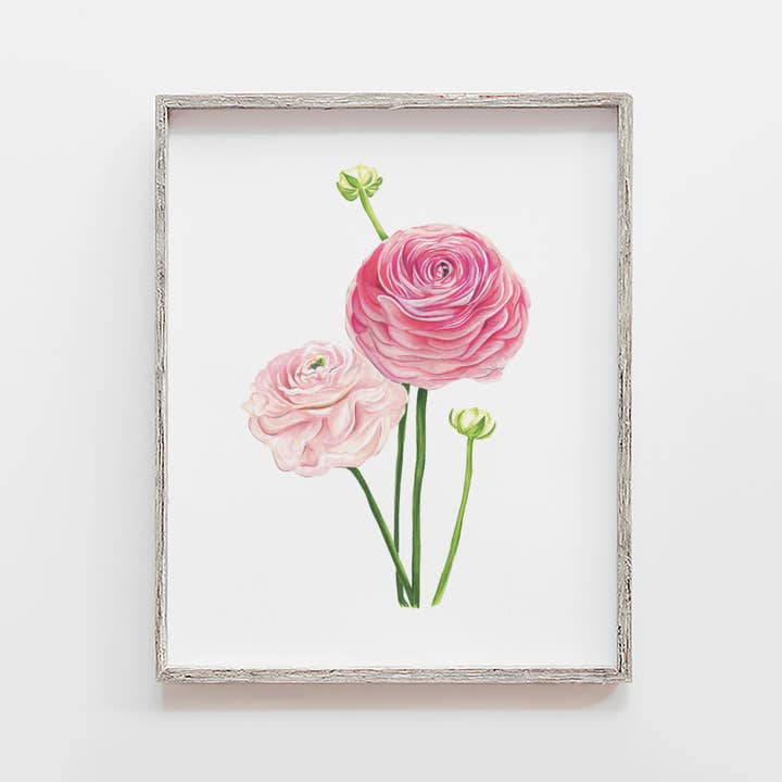 Pink Ranunculus Flower Art Print for wholesale by JesMarried
