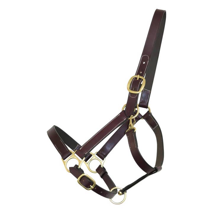 Australian Nut Henri de Rivel Leather Turnout Halters With Snap for wholesale on Faire
