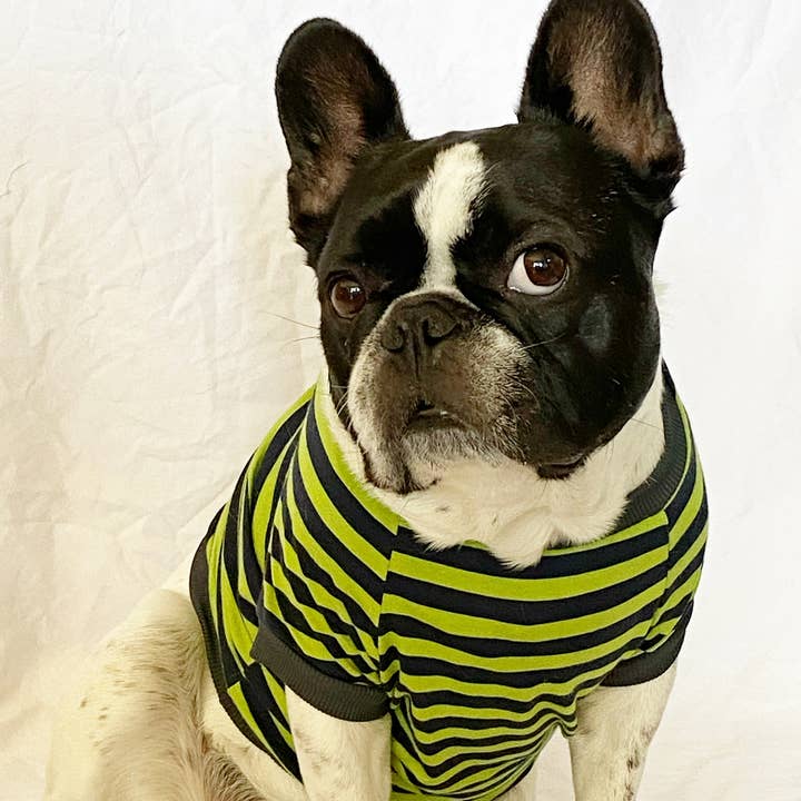 Homerun Pup Shirt - Green and Grey for wholesale by BOSSPUP