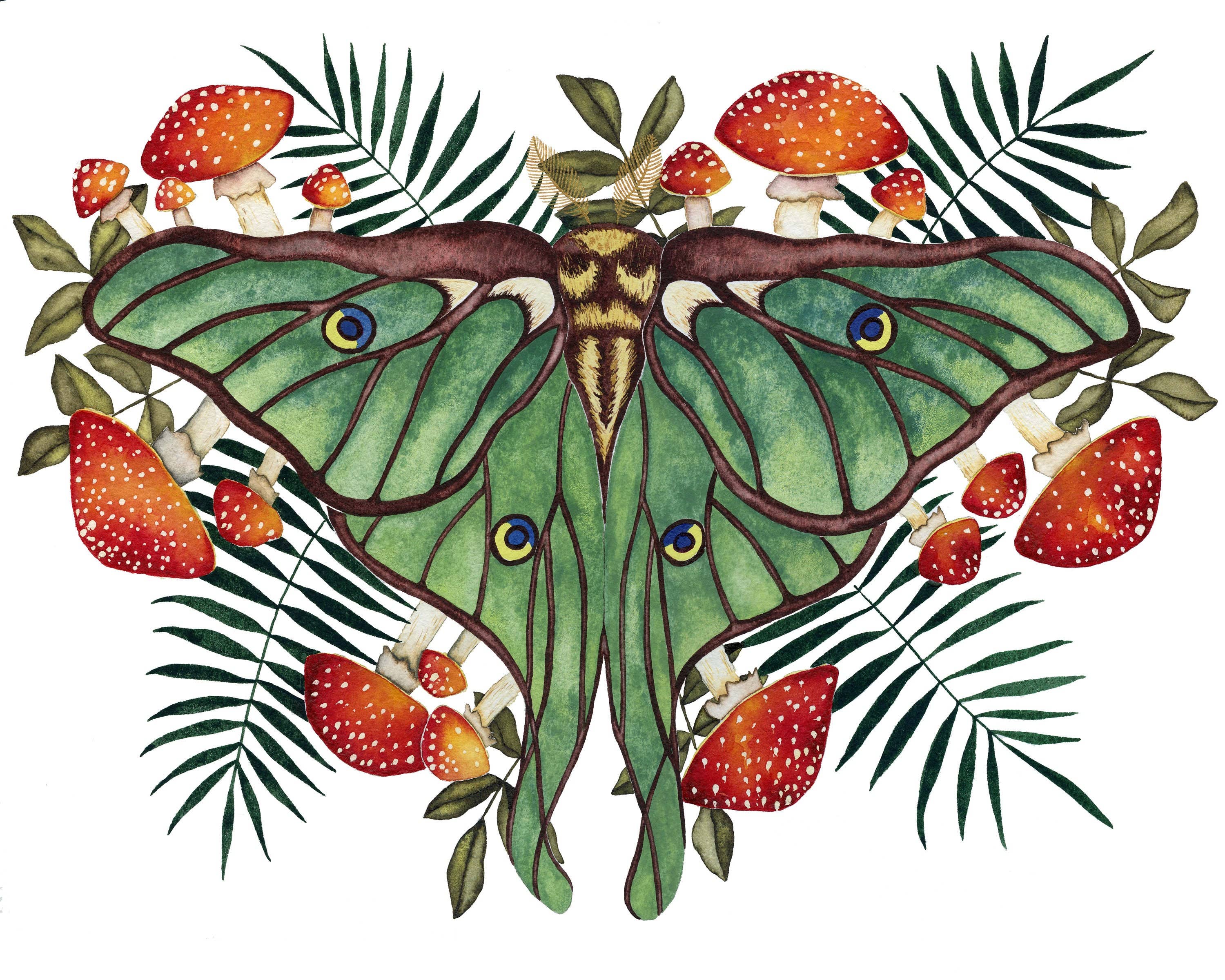 Candace Fincher – Großhandel Kunstdruck – Amanita Muscaria Magic Mushroom Kunstdruck//Luna Moth8