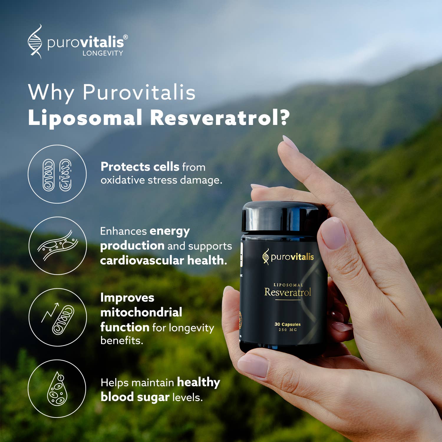 Purovitalis - Wholesale Oral Supplement/Vitamin - Purovitalis Liposomal Resveratrol – 250mg Micronized - 60pc5