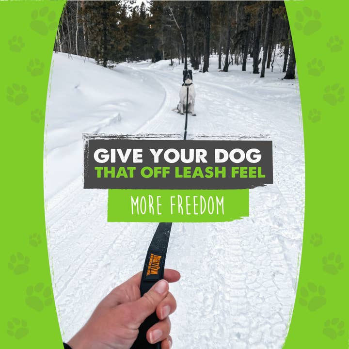 Mighty Paw - Wholesale Pet Leash - Dog - Long Dog Leash6