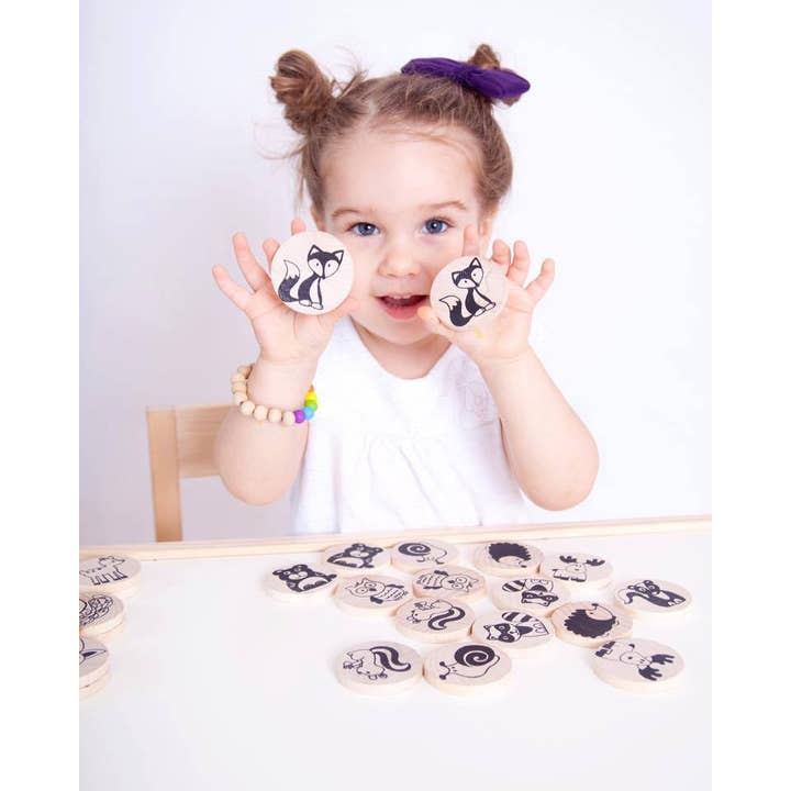 Mama May I - Wholesale Wood Toy - Kids - Make a Match Toddler - Zoo4