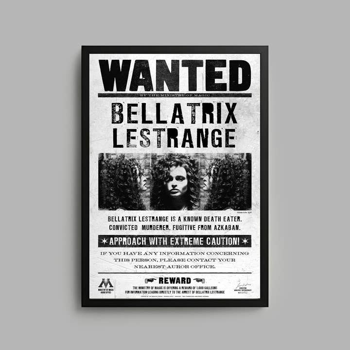 Harry Potter x Blvck Paris Cadre pour la vente par Blvck Paris