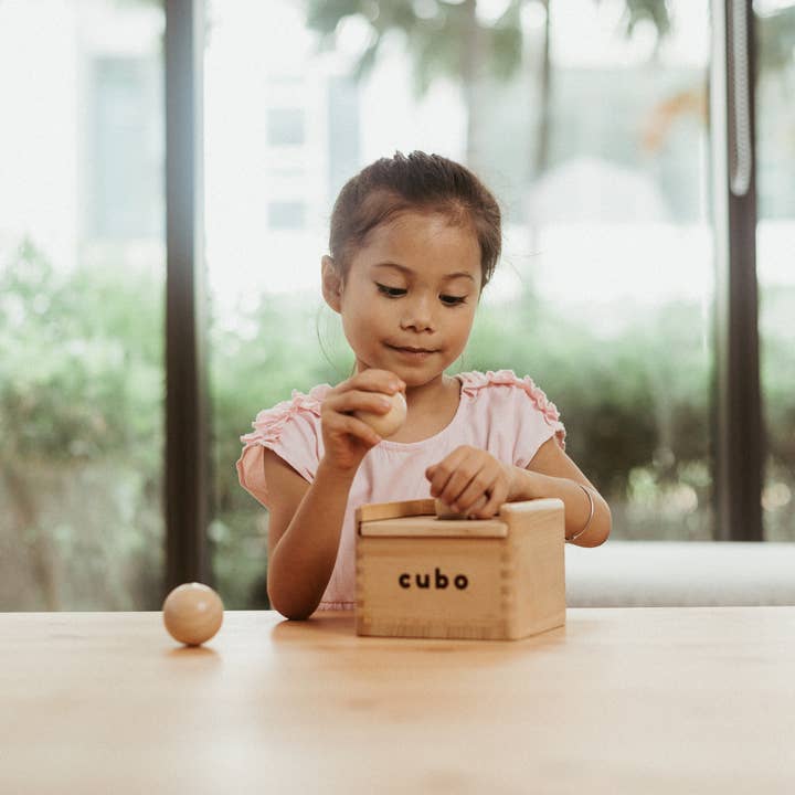 Cubo Toys - Wholesale Houten speelgoed - Kinderen - Cubo Montessori Box Starter Kit - imbucare objectbestendigheid3