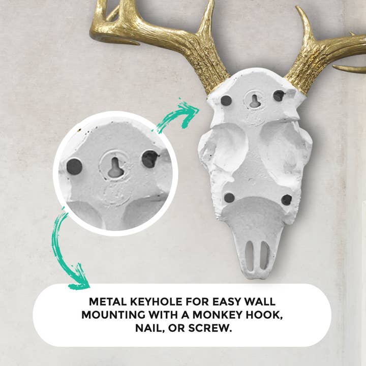 Wall Charmers - Wholesale Wall Accent - Large White + Gold Antlers Deer Head Skull Faux Taxidermy2