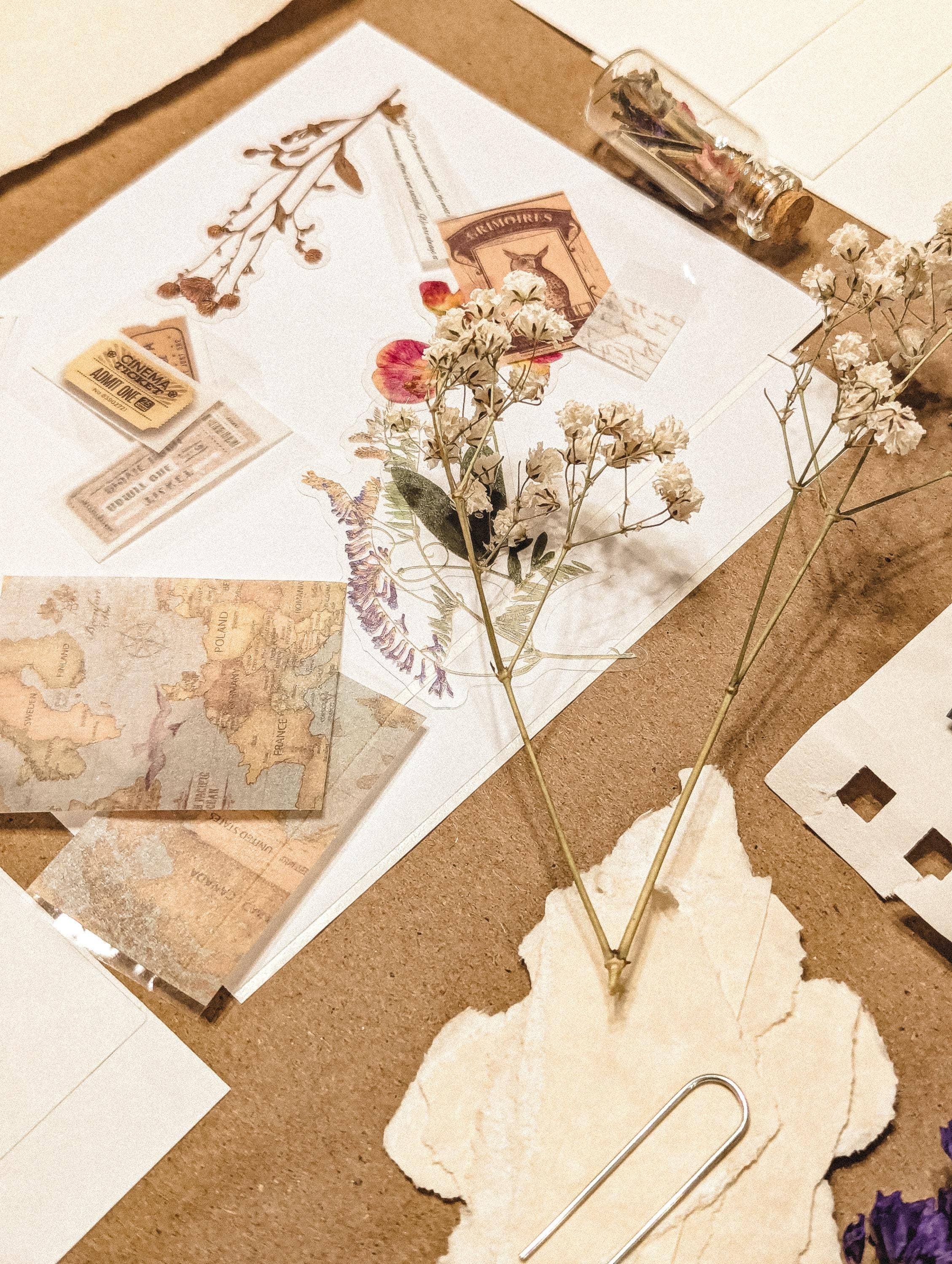 Poppy+Lily - Vendita all'ingrosso Kit per lavoretti fai da te - Kit Diario di Erboristeria: Segnalibro, Adesivi, Tazza5