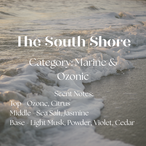 South Shore Scents Co. - Wholesale Car Freshener - Unisex - The South Shore – Hanging Car Diffuser3