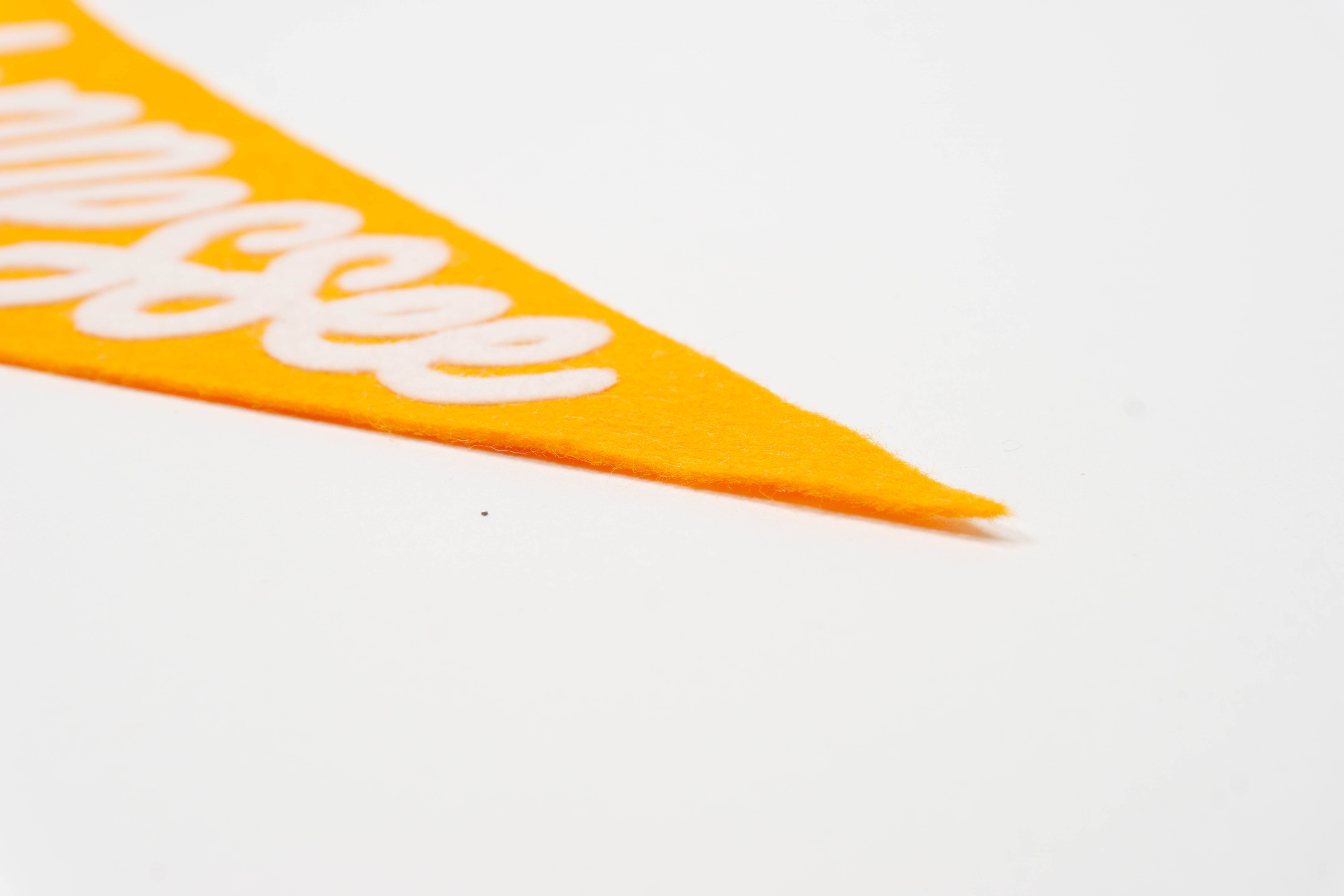 traveldashery - Wholesale Banner - tennessee pennant29
