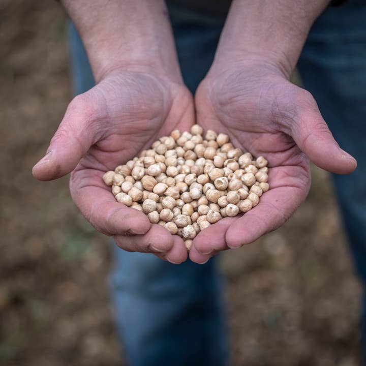 1001 GRAINES - Wholesale Beans - Chickpea 400g1