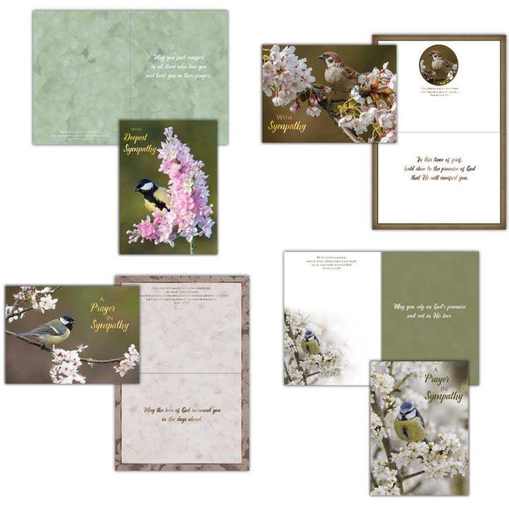 Feathers of Faith - Box of 12 Assorted Sympathy Cards by Shared Blessings for wholesale by Crown Point Graphics