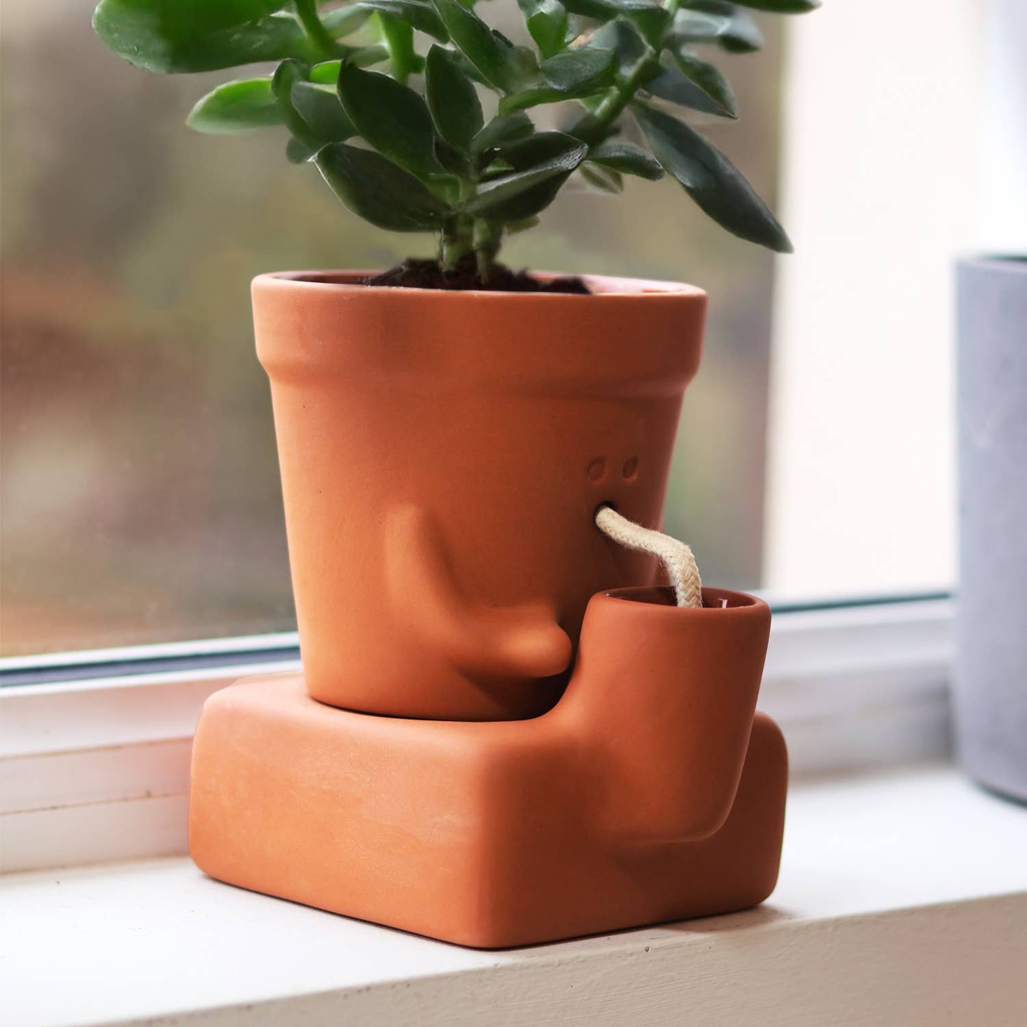 Pikkii - Vente Pot - Le Planteur Assoiffé | Pot de Plante Auto-Arrosant | Cadeau de Plante8