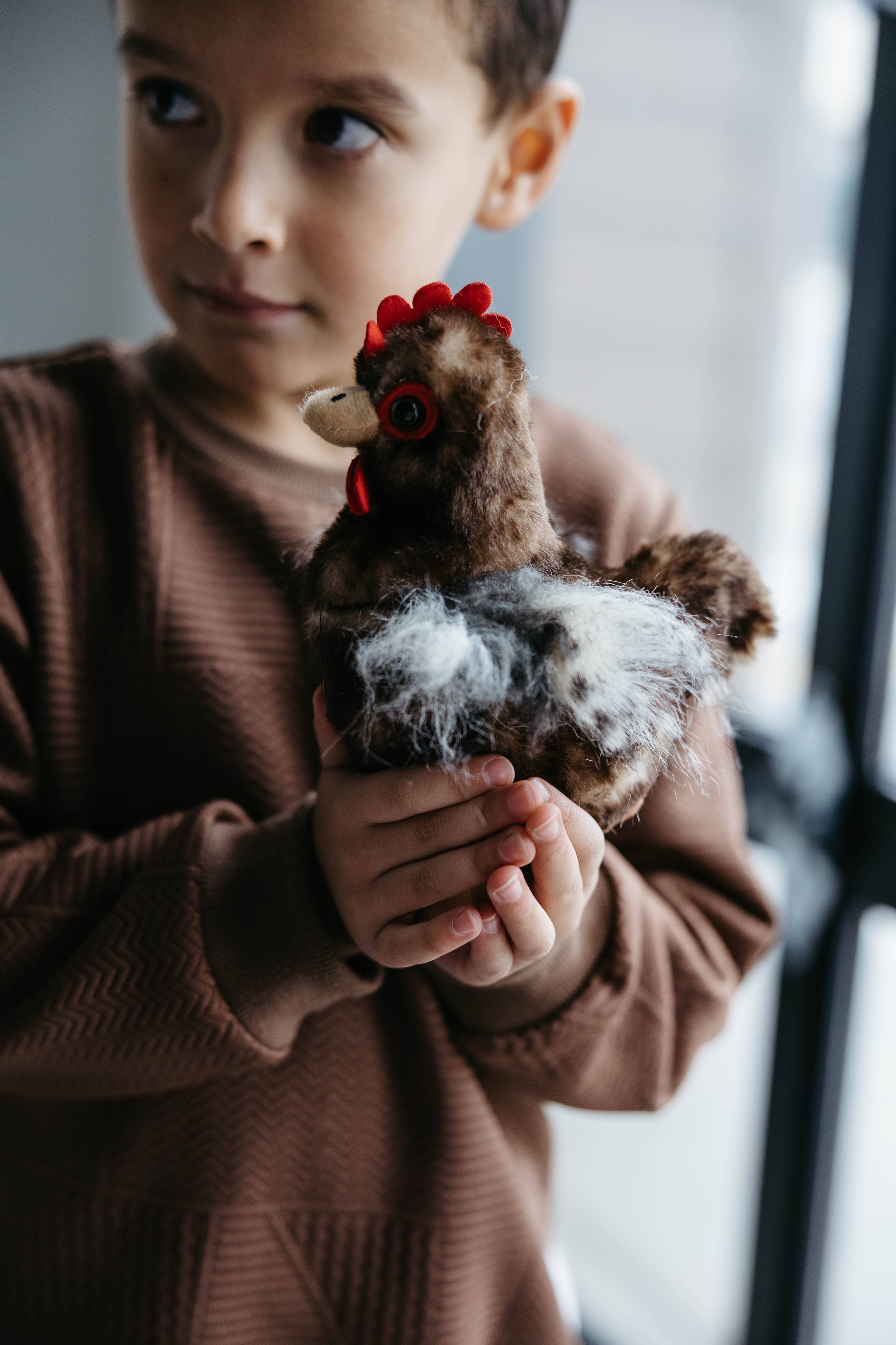 The Petting Zoo - Wholesale Stuffed/Plush Toy - Kids & Baby - 9" (20cm) Wild Onez Chicken Brown8