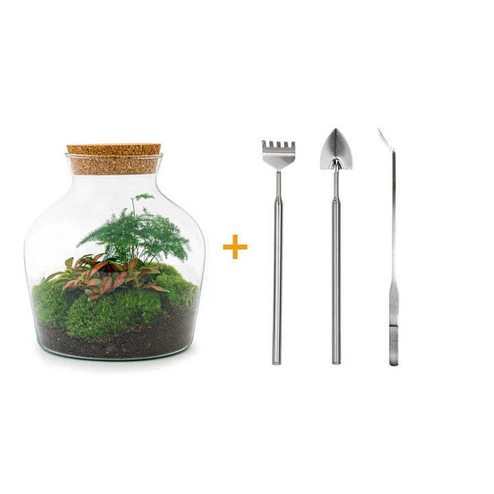 Trendhero.nl/b2b – Engroshandel DIY-hobbysæt – Terrarium DIY-sæt - Little Joe - Flaskehave - ↑ 21,5 cm