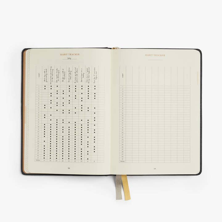 Intelligent Change - Wholesale Planner - Quarterly Productivity Planner, 90-Day Goal Setting, Guided1