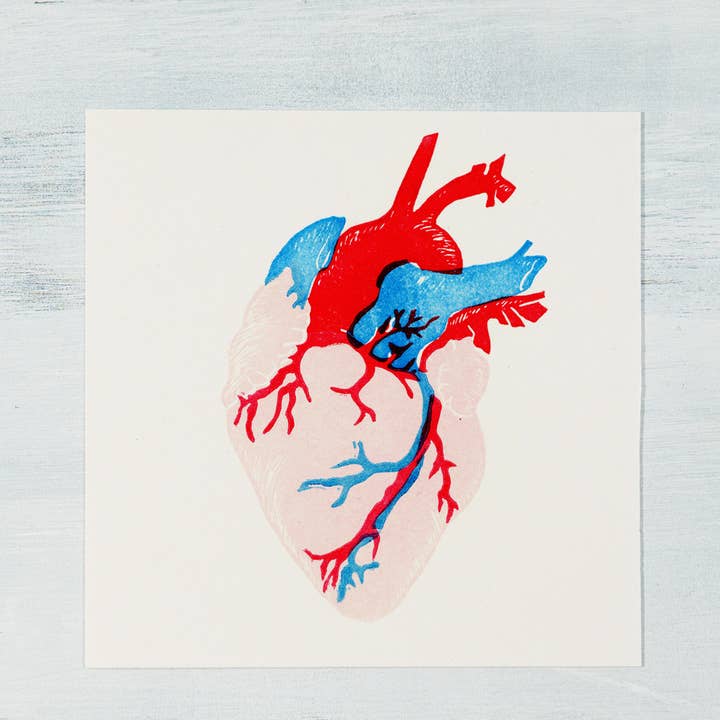 Anatomical Heart Nerdy Science Lover 4x4 Giclee Art Print for wholesale by Inky Mess Press