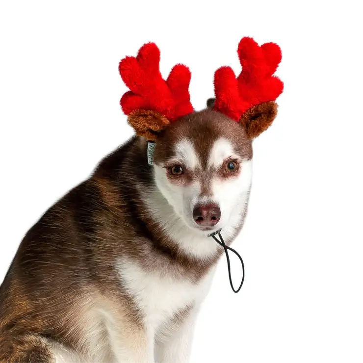 Midlee Designs - Wholesale Pet Costume - Dog - Midlee Christmas Reindeer Small Dog Antlers9