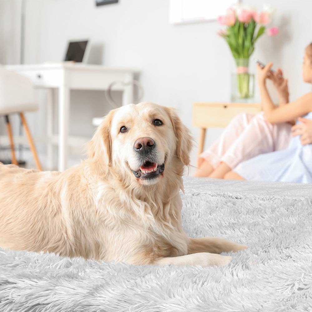 PetAmi – wholesale Filt - Katt och hund – Vattentät fuskpäls Pet Filt42