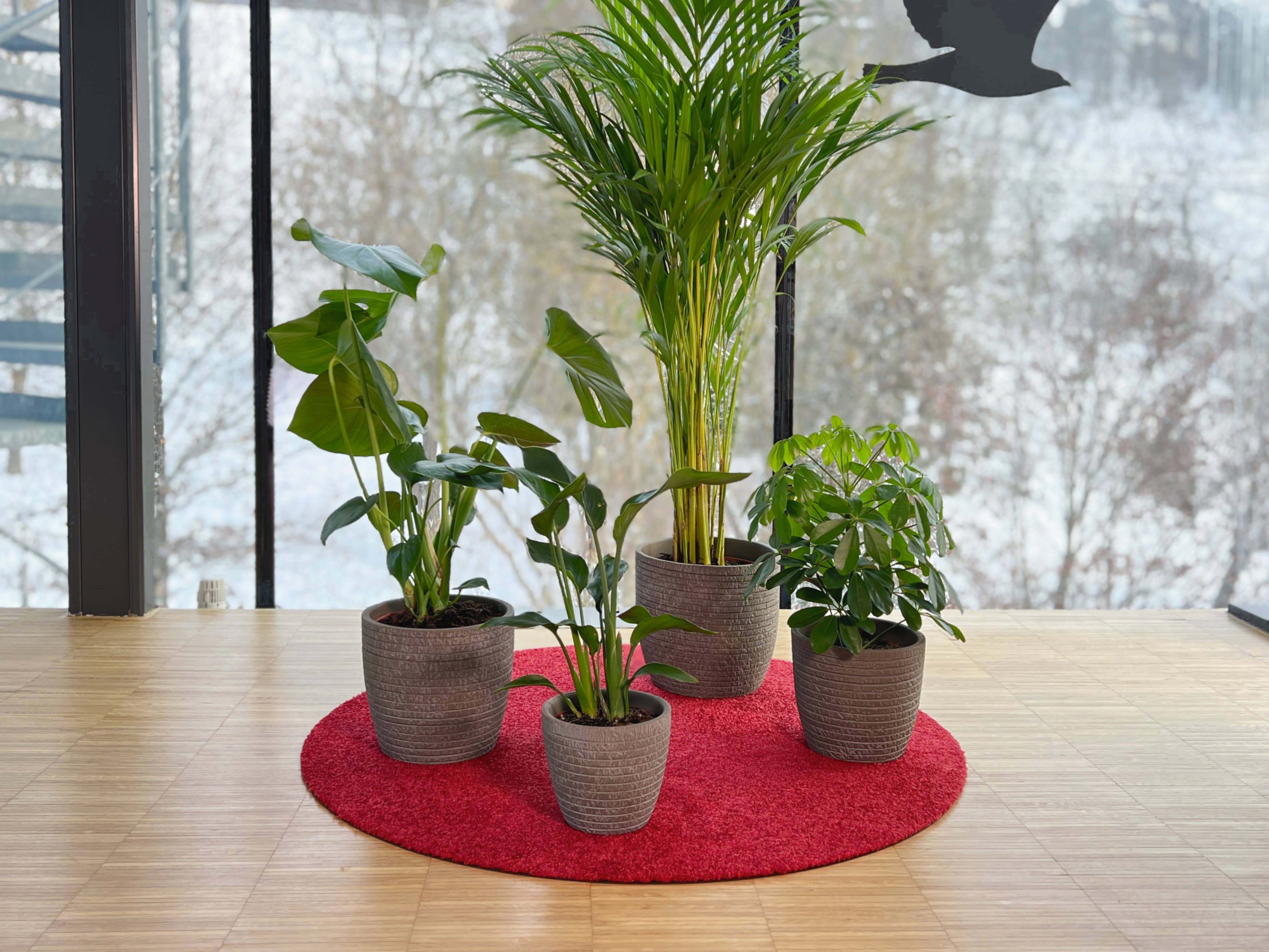 Keilbach Designprodukte - Wholesale Plant Pot - Flora2