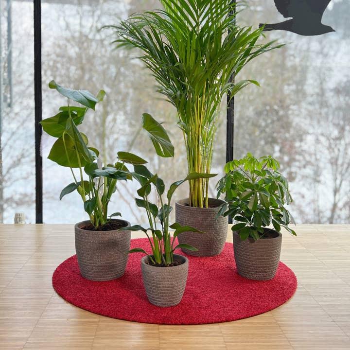 Keilbach Designprodukte - Wholesale Plant Pot - Flora2