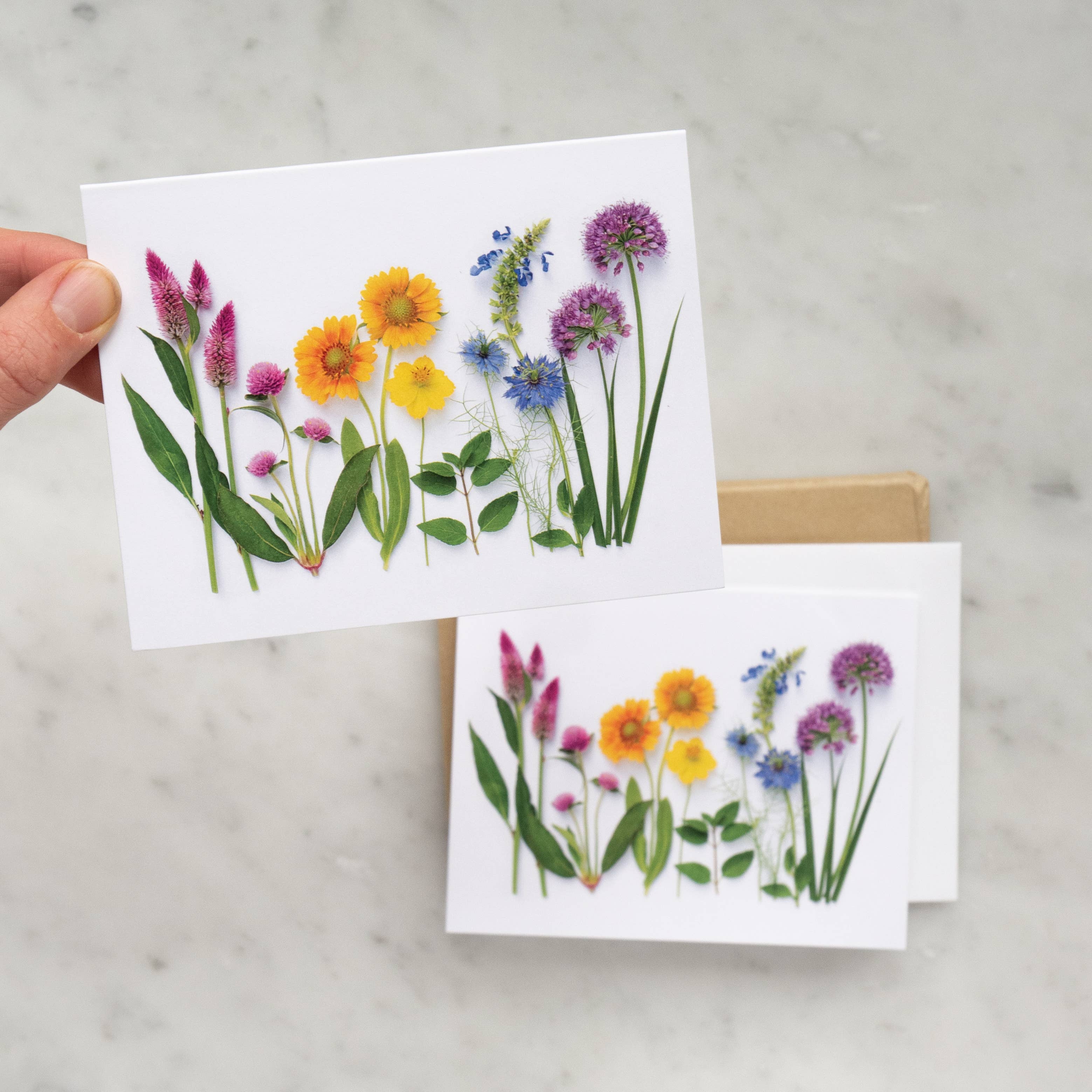 Bottle Branch - Wholesale Everyday Greeting Card - Card - Rainbow with Allium2