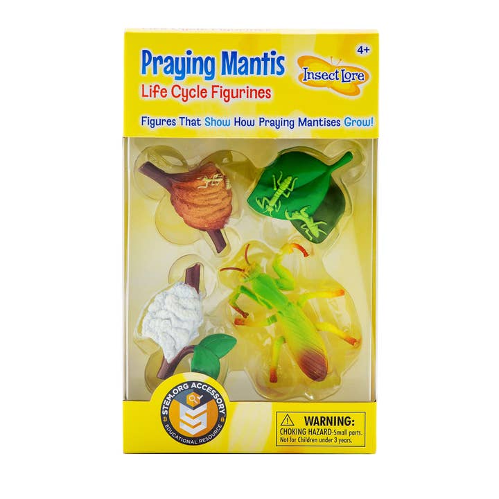 INSECT LORE - Vente Figurine – enfant - Figurines du cycle de vie de la mante priante