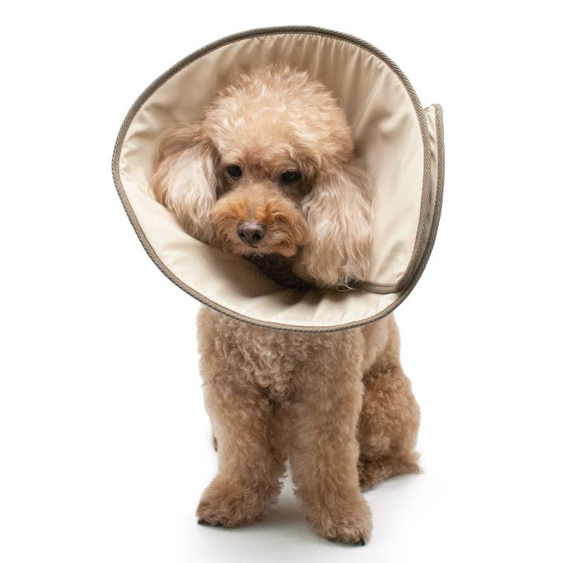 Dogo Pet - Wholesale Pet Collar - Dog - Get Better Soft E-Collar10