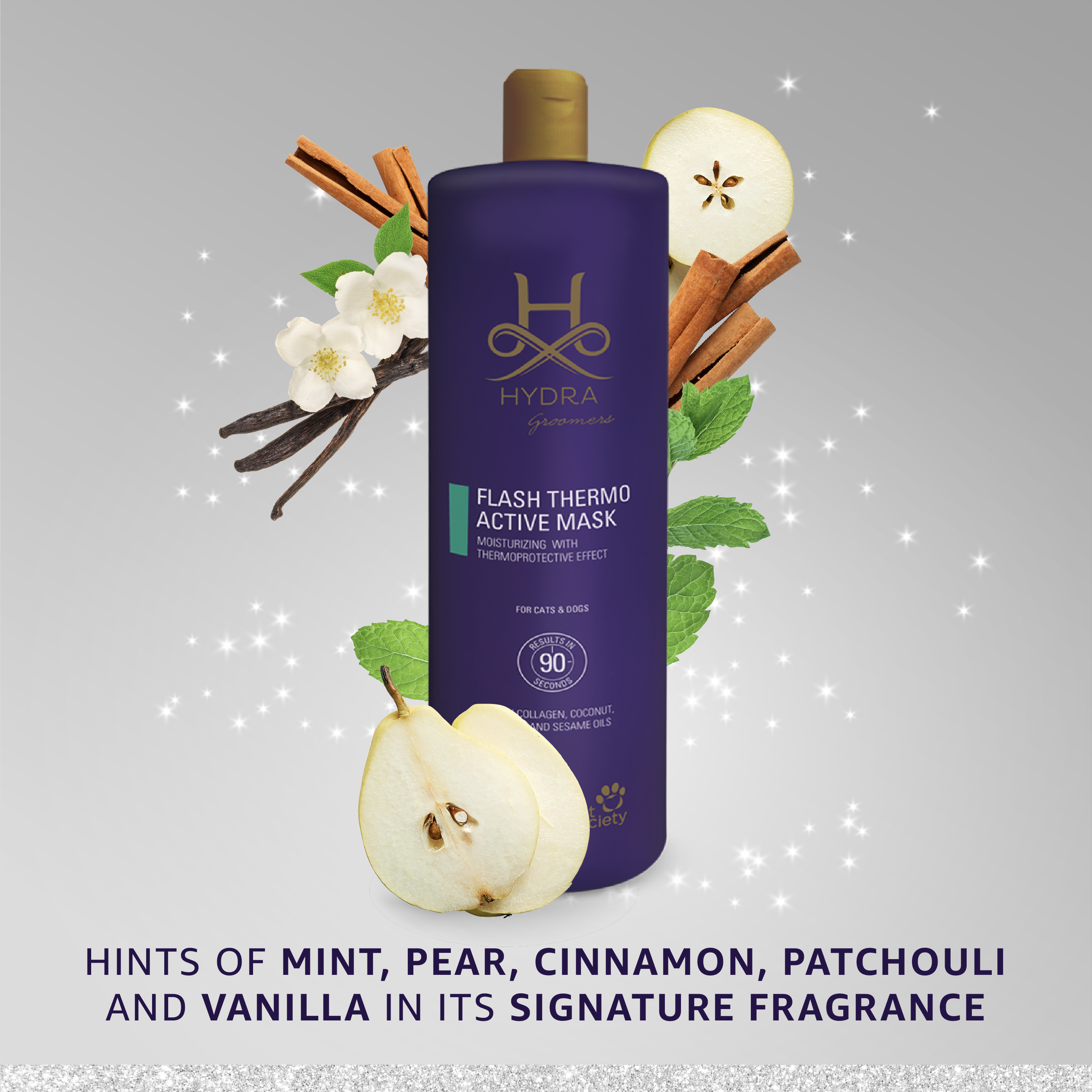 Hydra by Pet Society - Wholesale Pet Grooming Aid - Dog - Hydra Professional Flash Thermo Active Deep Conditioner2