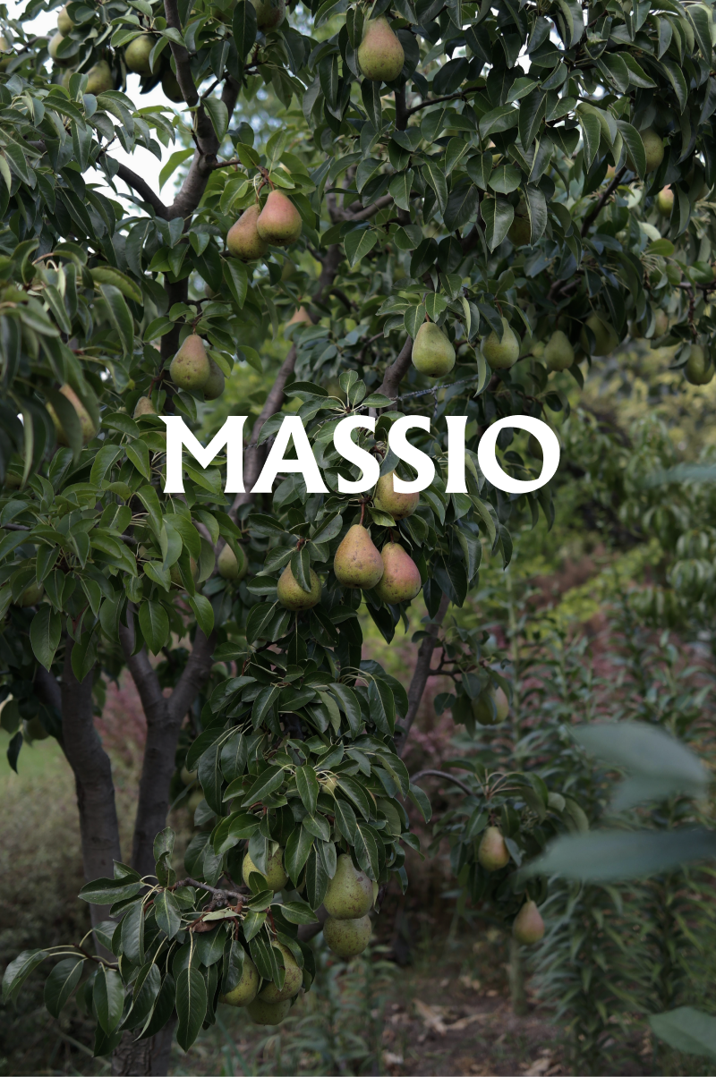 Massio Concept - Wholesale Room & Linen Spray - Room & Linen Spray Pyrus Freesia (100 ml)2