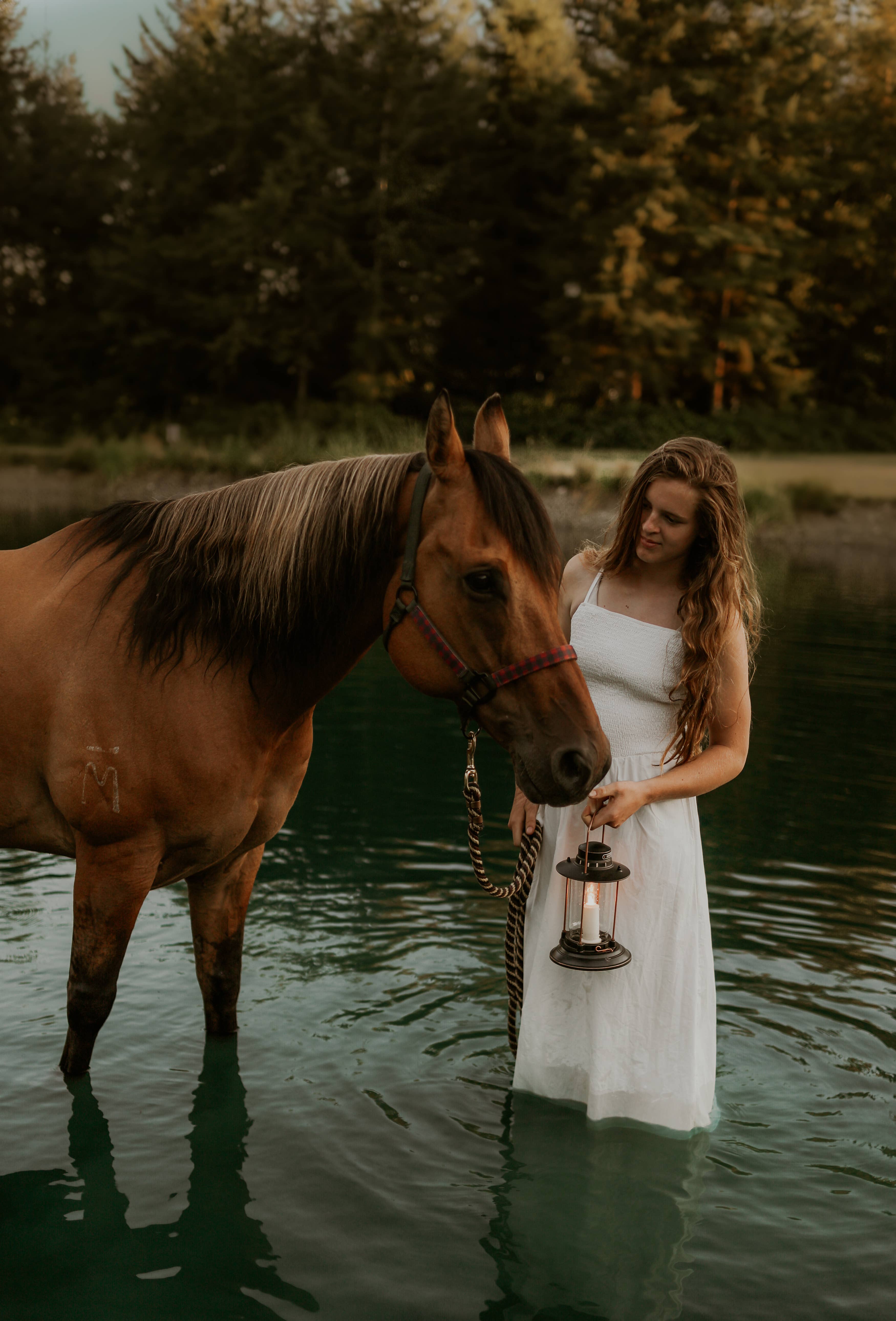 Barebones - Vente Bougeoirs - Lanterne Tempête - Porte-Bougie5