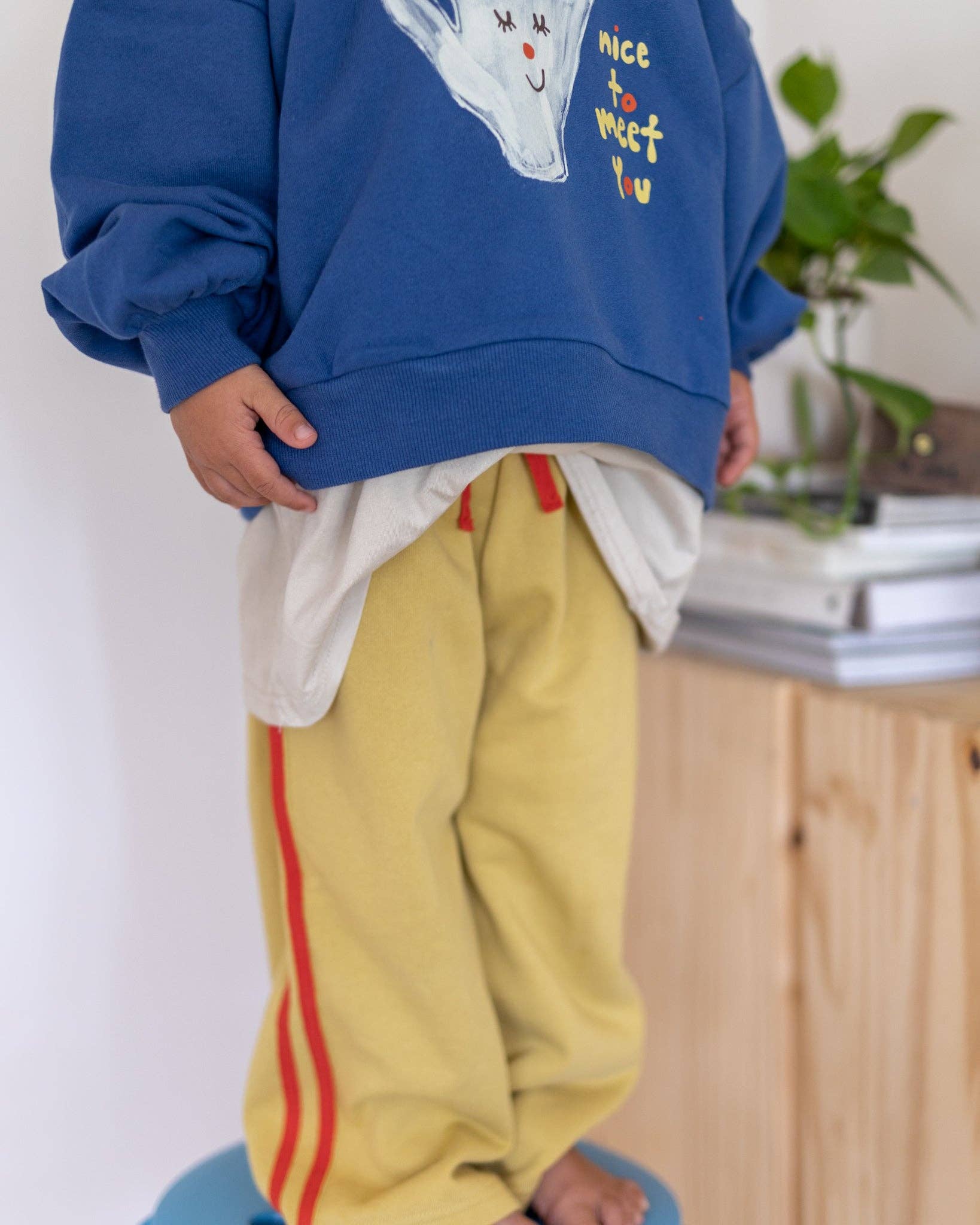 pigeon said please. - Wholesale Lounge Sweatpants/Joggers - Kids - crosswalk trackies12