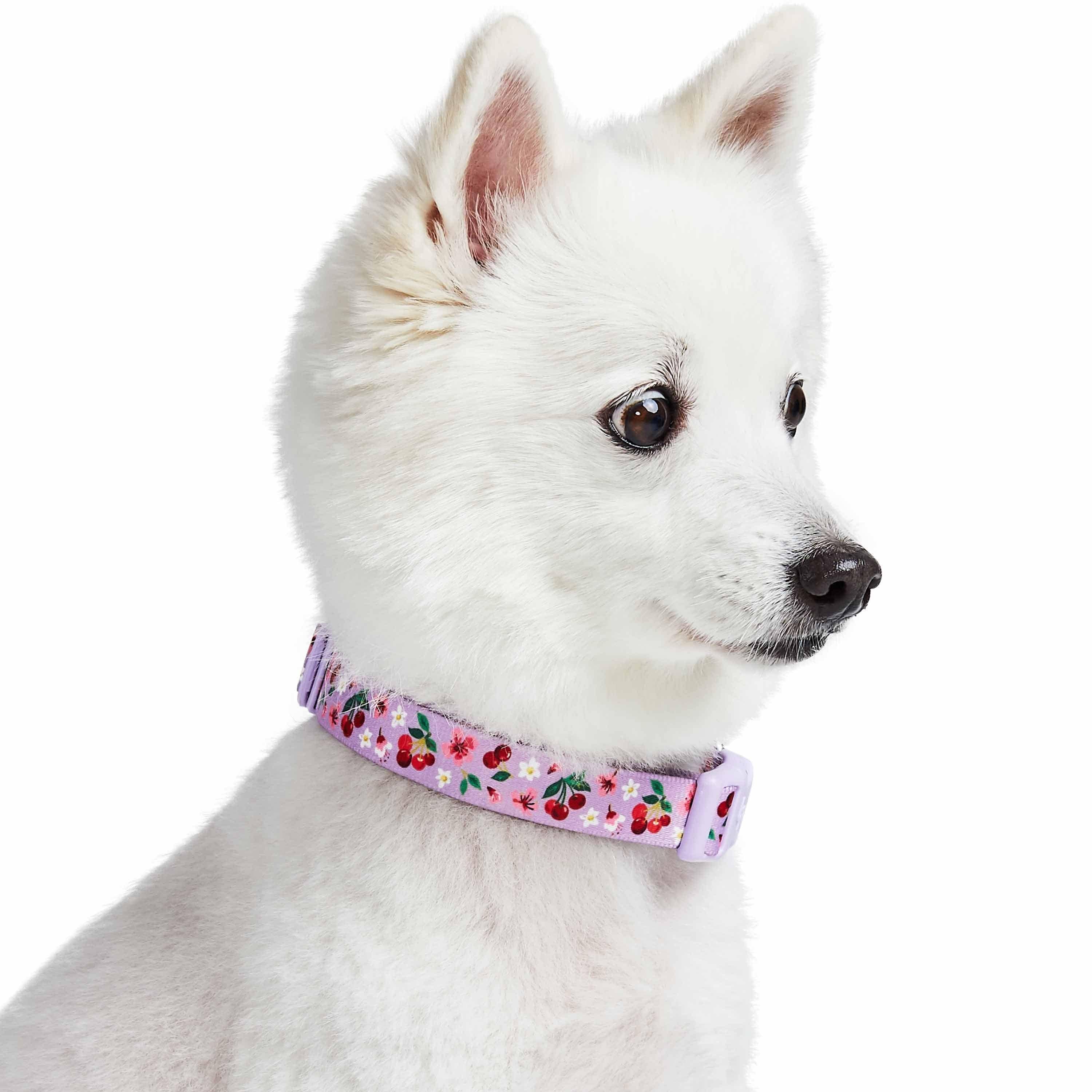 Blueberry Pet - Wholesale Pet Collar - Dog - Summer Floral Dog Collar in Pastel Colors for Girl Dogs18