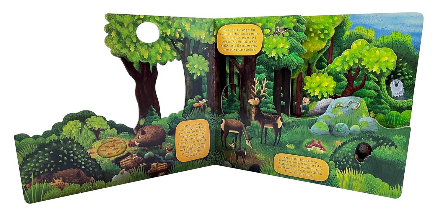 Fox Chapel Publishing - Wholesale Nature & Outdoors - Exploring the Fascinating World of the Forest2
