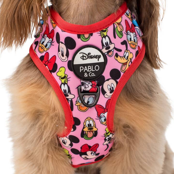 Mickey & Friends - Pink: Adjustable Harness for wholesale by Pablo & Co. Boutique