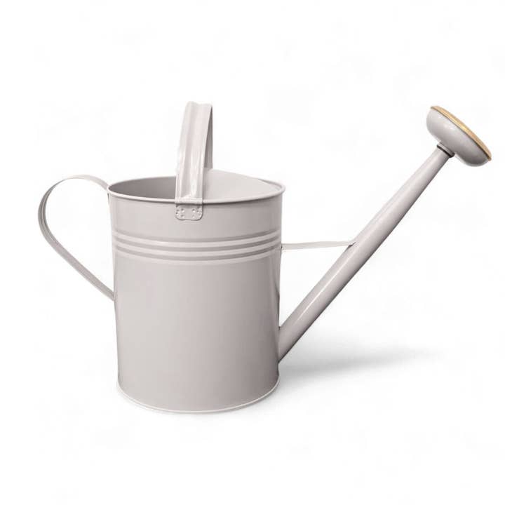 Metall Gießkanne mit 2 Henkeln, abnehmbaren Brausenkopf, 10L für den Großhandel von LIVLIG