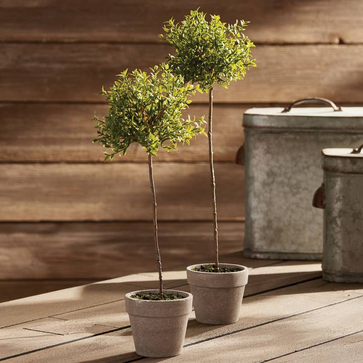 Napa Home & Garden - Wholesale Artificial Plant - Thyme Topiary 13"