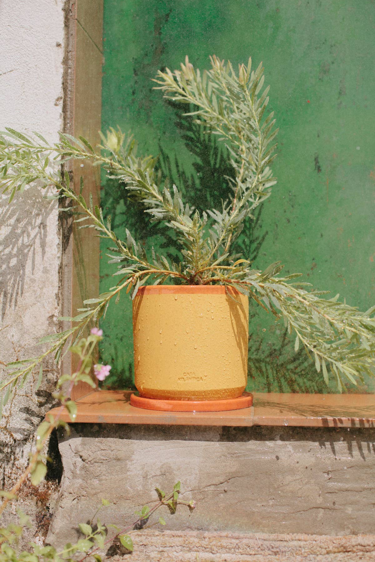 Casa Atlântica – wholesale Kruka – Rosa målad krukformad blomkruka i lera6