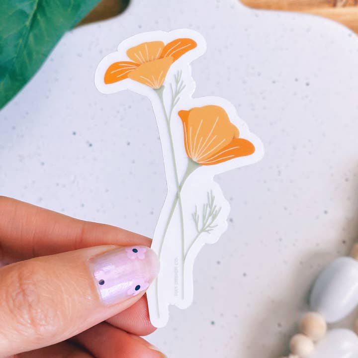 Autocollant California Poppy | Autocollant floral transparent pour la vente par Hay Design Co.