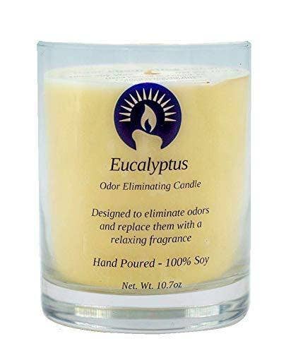 Brandon’s Candles, LLC - Wholesale Jar/Filled Candle - Eucalyptus Odor Eliminating Candle0