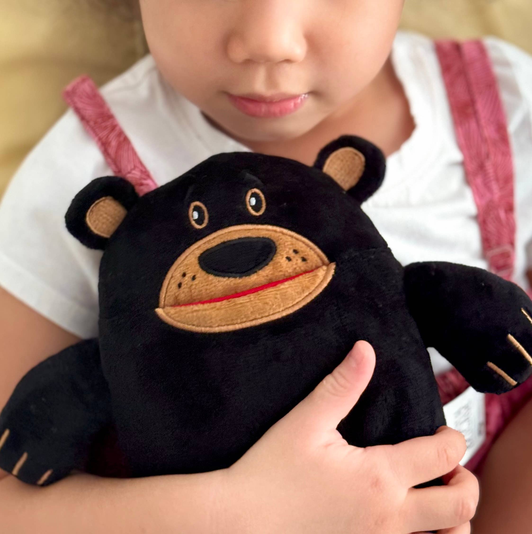 The Tooth Brigade - Wholesale Stuffed/Plush Toy - Kids & Baby - Acorn Black Bear Tooth Fairy Pillow. Gift Stuffed Animal Plush Toy