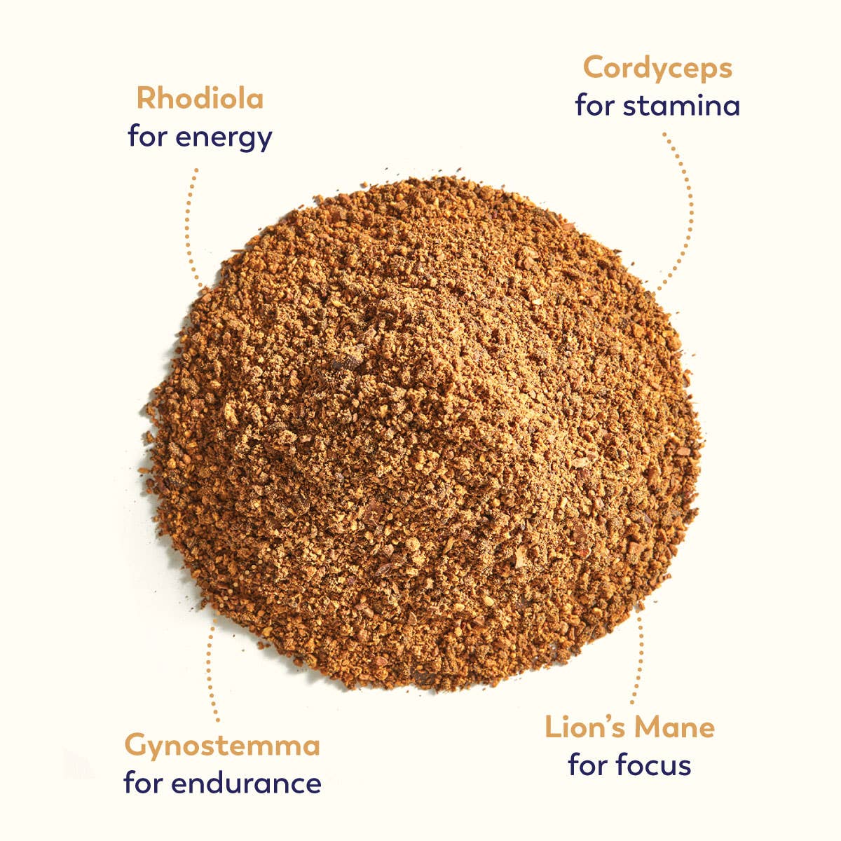 Rasa - #1 in Functional Adaptogens - Wholesale Health/Detox Tea - Rasa Bold | Coffee Alternative | 1 oz3