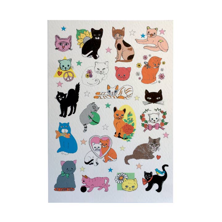 Flash Card - Cats for wholesale by Rosie Wonders