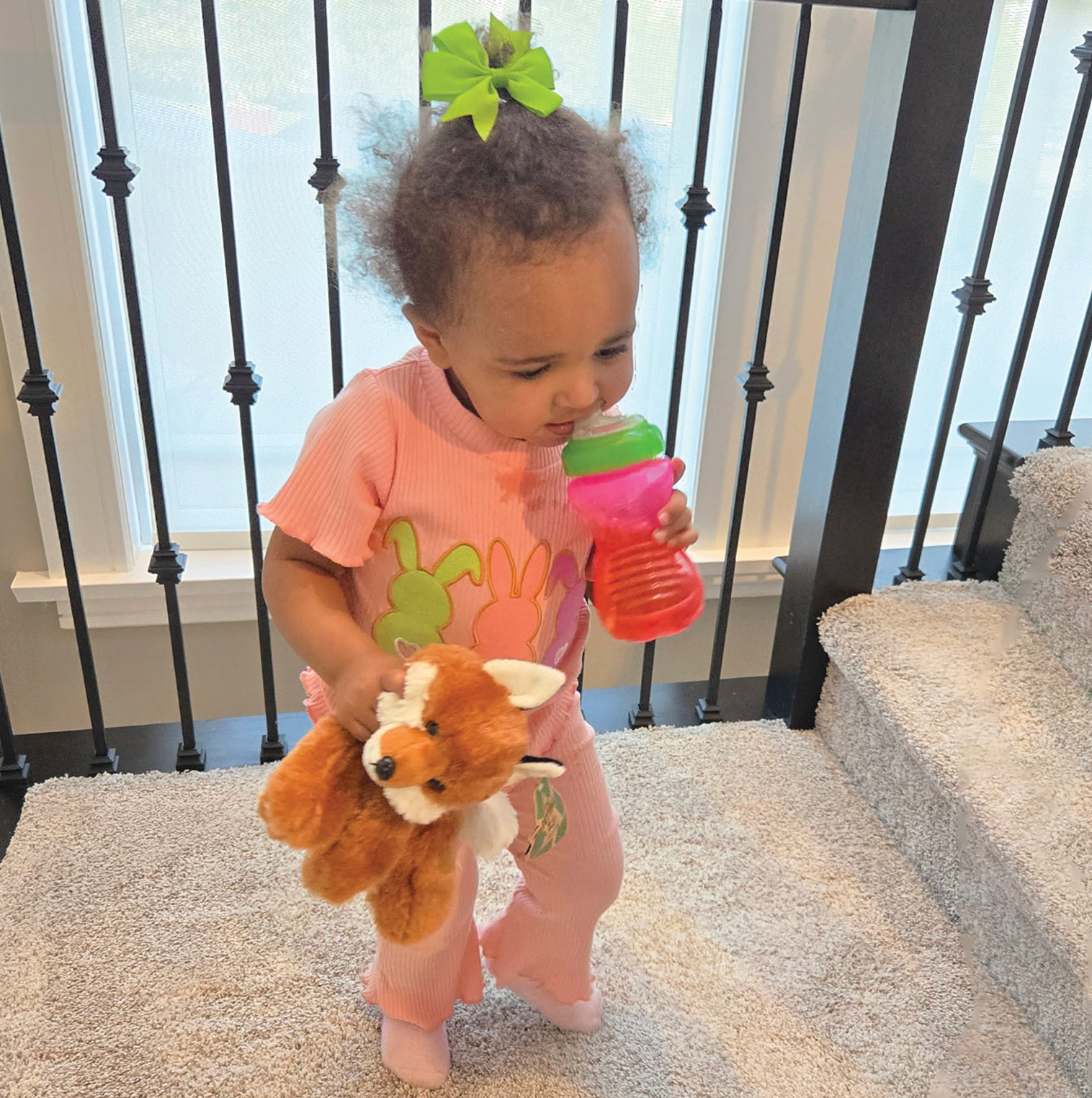 The Petting Zoo – Engroshandel Plyslegetøj - Børn og baby – 9" (20cm) Vild Onez Rød Ræv4